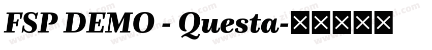 FSP DEMO - Questa字体转换